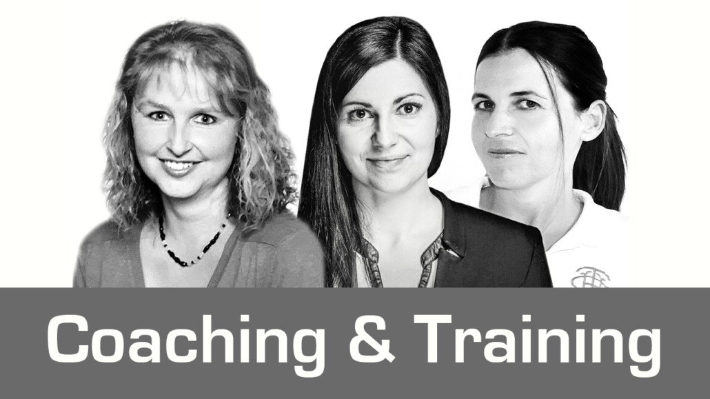 369GRAD_GA_EP_SL_SW_Coaching_Training